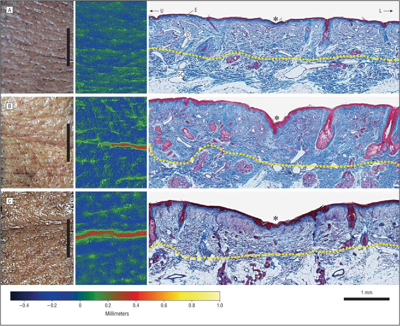 Scientific reference image